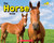 The Horse Book (Side By Side) - 9780531131084 by Amanda Miller, Janice Behrens, 9780531131084 The Horse Book (Side By Side) - 9780531131084 by Amanda Miller, Janice Behrens, 9780531131084
