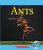 Ants (Nature's Children) by Josh Gregory, 9780531230268