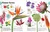 Trees, Leaves, Flowers and Seeds (A Visual Encyclopedia of the Plant Kingdom) by DK, Smithsonian Institution, 9781465482426