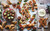 Share: Delicious Sharing Boards for Social Dining by Theo A. Michaels, 9781788792110