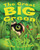 The Great Big Green by Peggy Gifford, Lisa Desimini, 9781620916292