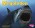 Megalodon - 9780736869119 by Janet Riehecky, Jon Hughes, 9780736869119
