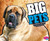 BIG Pets by Catherine Ipcizade, 9781429639972