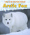 Arctic Fox by Katie Marsico, 9781432953362