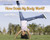 How Does Your Body Work? by Charlotte Guillain, 9781432953492
