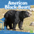 American Black Bears - 9781429671835 by Molly Kolpin, 9781429671835