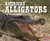 American Alligators by Steve Potts, 9781429677035