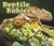 Reptile Babies - 9781432984212 by Catherine Veitch, 9781432984212