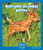 Animales en todas partes (Animals Everywhere) (Spanish Edition) by Ann Corcorane, 9781429690614