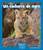 Un cachorro de tigre (A Tiger Cub) (Spanish Edition) by Maryellen Gregoire, 9781429698849