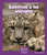 Salvemos a los animales (Save the Animals) (Spanish Edition) by Layne deMarin, 9781429691192