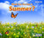 What Can You See in Summer? by Sian Smith, 9781484603550