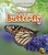 Life Story of a Butterfly - 9781484604922 by Charlotte Guillain, 9781484604922