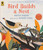 Bird Builds a Nest: A First Science Storybook - 9781536210569 by Martin Jenkins, Richard Jones, 9781536210569