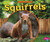 Squirrels - 9781491420881 by Gail Saunders-Smith, Mari Schuh, 9781491420881