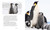 Every Penguin in the World (A Quest to See Them All) by Charles Bergman, 9781632172662