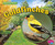 Goldfinches - 9781491461129 by Gail Saunders-Smith, Lisa J. Amstutz, 9781491461129