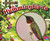 Hummingbirds - 9781491485132 by Lisa J. Amstutz, 9781491485132