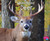 White-Tailed Deer - 9781515708193 by G.G. Lake, 9781515708193
