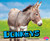 Donkeys - 9781515709640 by Michelle Hasselius, 9781515709640