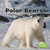 Polar Bears - 9781515736219 by Mari Schuh, 9781515736219