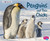Penguins and Their Chicks (A 4D Book) by Margaret Hall, 9781543508253