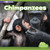Chimpanzees (A 4D Book) by Kathryn Clay, 9781977100818