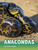 Anacondas - 9781977113405 by Jaclyn Jaycox, 9781977113405