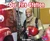 Our Fire Station by Mary Meinking, 9781977114525