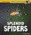 Splendid Spiders by Melissa Higgins, 9781977114341