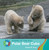 Polar Bear Cubs by Susan H. Gray, 9781534161269