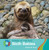 Sloth Babies - 9781534158979 by Susan H. Gray, 9781534158979