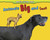 Animals Big and Small - 9781432957384 by Daniel Nunn, Rebecca Rissman, 9781432957384