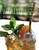 Tea-Vitalize (Cold-Brew Teas and Herbal Infusions to Refresh and Rejuvenate) by Mimi Kirk, 9781682682838