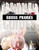 Gross Pranks by Karen M. Leet, 9781429699228