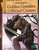 A Field Guide to Goblins, Gremlins, and Other Wicked Creatures by Colin Ashcroft, Martín Bustamante, Jason Juta, Tom McGrath, A. J. Sautter, 9781491406892