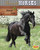 Favorite Horses (Breeds Girls Love) by Molly Kolpin, 9781491407080 Favorite Horses (Breeds Girls Love) by Molly Kolpin, 9781491407080