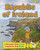 Republic of Ireland (A Benjamin Blog and His Inquisitive Dog Guide) by Anita Ganeri, Sernur Isik, 9781410968494