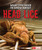 What You Need to Know about Head Lice - 9781491482469 by Nancy Dickmann, 9781491482469