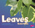 Leaves - 9781515742449 by Vijaya Khisty Bodach, 9781515742449