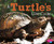 A Turtle's Life Cycle - 9781515770602 by Mary R. Dunn, 9781515770602