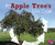 An Apple Tree's Life Cycle - 9781515770619 by Mary R. Dunn, 9781515770619