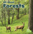 All About Forests - 9781515776468 by Christina Mia Gardeski, 9781515776468