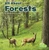 All About Forests - 9781515776468 by Christina Mia Gardeski, 9781515776468