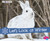 Let's Look at Winter (A 4D Book) - 9781543508734 by Sarah L. Schuette, 9781543508734