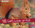 Let's Look at Fall (A 4D Book) - 9781543508765 by Sarah L. Schuette, 9781543508765