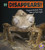 It Disappears! (Magical Animals That Hide in Plain Sight) - 9781515794691 by Nikki Potts, 9781515794691