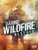 Daring Wildfire Rescues by Amy Waeschle, 9781543501124