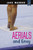 Aerials and Envy - 9781496559166 by Jake Maddox, 9781496559166