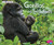 Gorillas and Their Infants (A 4D Book) - 9781543508369 by Margaret Hall, 9781543508369